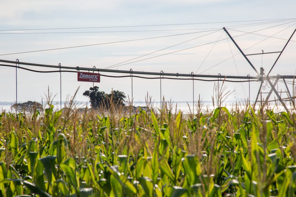 Tecnologia na irrigação aumenta produtividade e eficiência hídrica