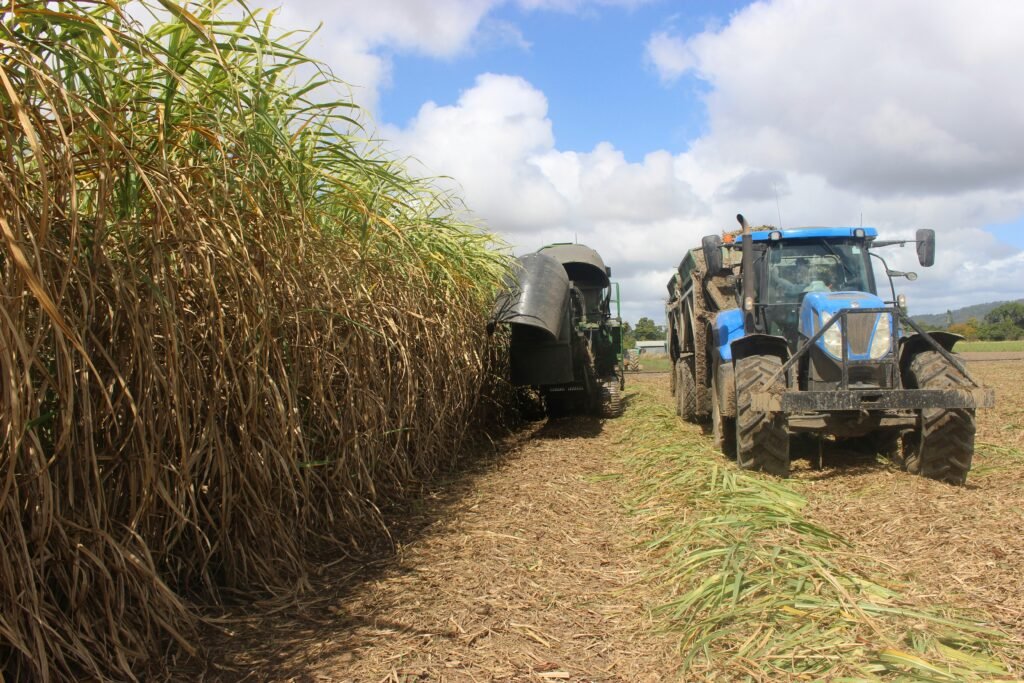 Transporte Cana de açúcar